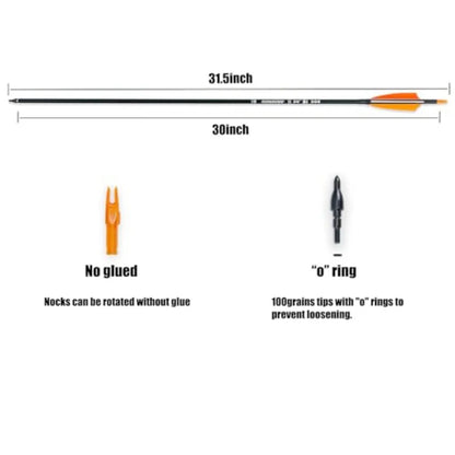Carbon Arrows for Archery Target Practice & Hunting