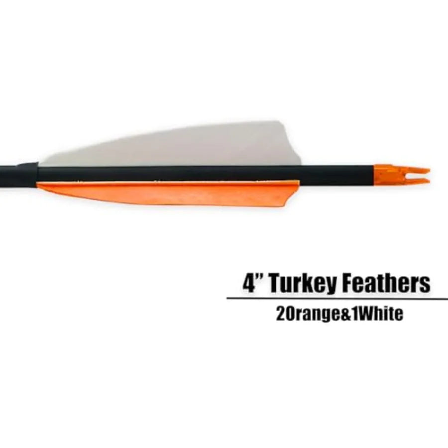 Carbon Arrows for Archery Target Practice & Hunting