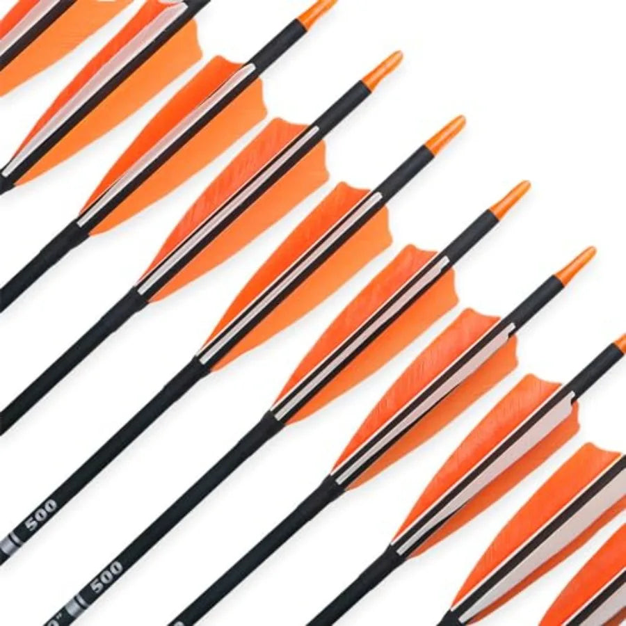 Carbon Arrows for Archery Target Practice & Hunting